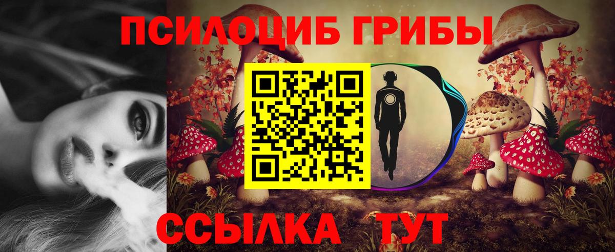 Галлюциногенные грибы Cubensis Буйнакск
