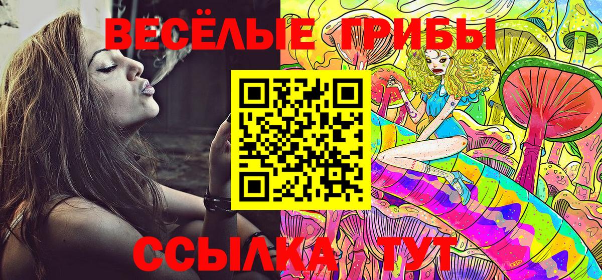 Псилоцибиновые грибы мухоморы  Вход с VPN  Псилоцибиновые грибы Magic Shrooms  Буйнакск 